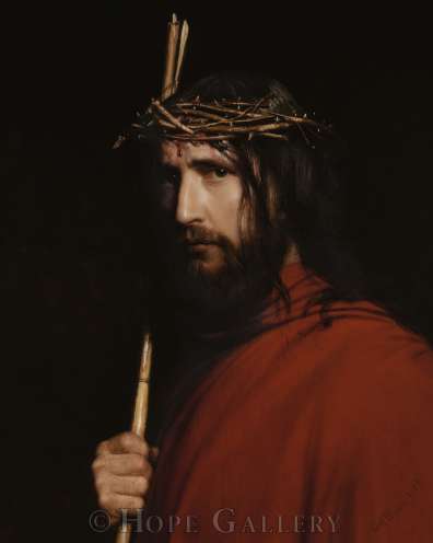 Espinas de Cristo