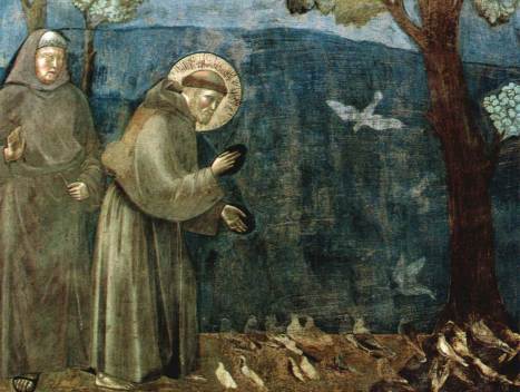 San Francisco predicando a los pájaros de Giotto (Edad media)